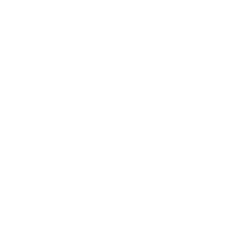 Frenchies Posh Fries